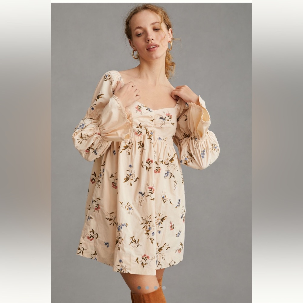 Anthropologie long sleeve embroidered mini dress